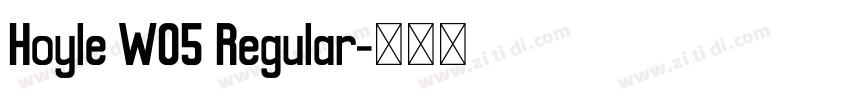 Hoyle W05 Regular字体转换